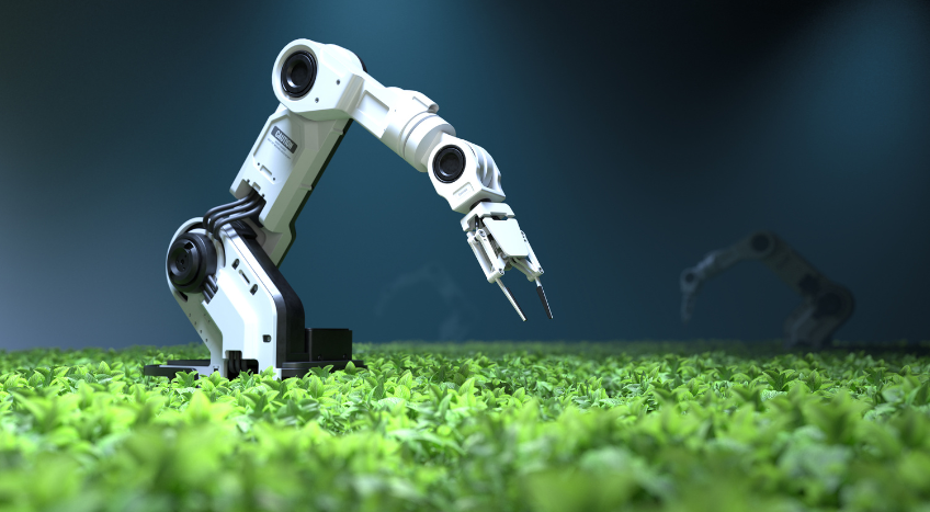AI in Indian Agriculture: Transforming Soil to Supply Chain